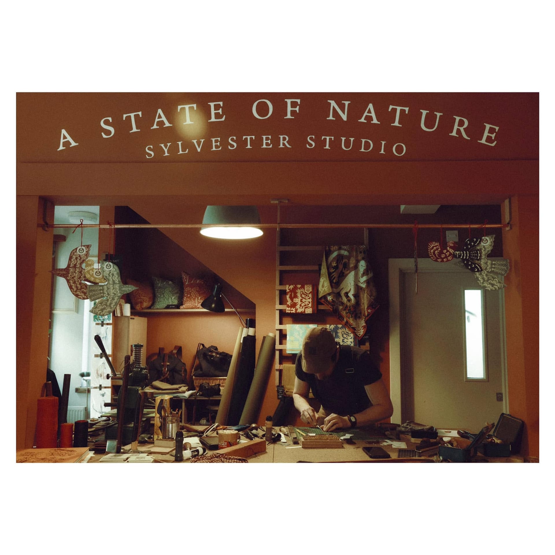 A State of Nature
